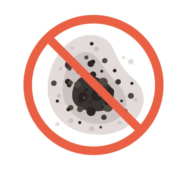 Best Dehumidification Services  in Bristow, OK