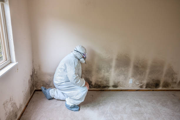 Best Air Quality Testing for Mold Spores  in Bristow, OK