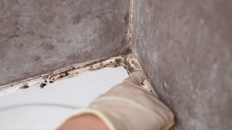 Dehumidification Services in Bristow, OK